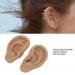 Realistic Silicone Ear Model for Display - Soft Flexible 3D Ear Nose & Mouth - Perfect for Novice Practice Dark Skin Color - Buy Online on GoSupps.com