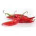 Chili Guajillo Chili Chipotle 200 g morceaux entiers s ch s au soleil 200 g - Buy Online on GoSupps.com
