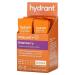 Hydrant Immunity Drink Mix Elderberry 12 Pack 0.33 oz (9.4 g) Each