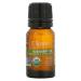 Cliganic 100% Pure Essential Oil Rosemary Oil  2/6 fl. oz. (10 ml)
