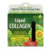Irwin Naturals Liquid Collagen Tropical Strawberry & Kiwi 10 Liquid-Tubes 10 ml Each