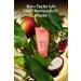 Avon Glimmersticks Lift Eyeliner Cherry Red 2 Pack + Lovider Pocket Mirror Gift - Buy Online on GoSupps.com