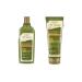CLIO Intense Moisture and Shine Cushion Kill Cover Mesh Glow Cushion Refill Spf50 Pa (3 LINEN) - Buy Online on GoSupps.com