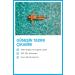 Heaven on Earth Spf 50 Vegan Mineral Sunscreen 0 Natural Water Resistant Very High Protection - Buy Online on GoSupps.com