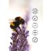 Heaven on Earth Anti-Blackhead Refreshing Facial Cleansing Gel for All Skin Types 150 ml - Buy Online on GoSupps.com