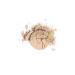 Golden Rose Silky Touch Compact Powder No: 04 Almond - Pressed Powder - 8691190115043 - Buy Online on GoSupps.com