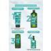 Yves Rocher Purifying Shampoo for Oily Hair (Pure Detox) - Vegan-300 ml - Buy Online on GoSupps.com
