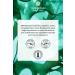 Yves Rocher Purifying Shampoo for Oily Hair (Pure Detox) - Vegan-300 ml - Buy Online on GoSupps.com