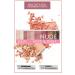 Lollis Nude Soft&rosy Eyeshadow Palette /nude Soft&rosy Eyeshadow Palette - Buy Online on GoSupps.com