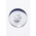 Kerastase Chronologiste Bain R g n rant Regenerating Shampoo 250 ml 250 ml - Buy Online on GoSupps.com