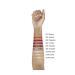 L'Oreal Paris L'Or al Paris Rouge Signature Lip Topper Lip Gloss Lipstick 212 Pure Gold - Buy Online on GoSupps.com