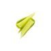Mac UNIQUE LIPS-LIFTING EFFECTIVE LIKE SQUIRT PLUMPING SH NE LIP BALM 2.3 G KEYON1082 - Buy Online on GoSupps.com