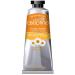 Dove Argan Oil Repair Care Hair Care Shampoo 400 Ml - Buy Online on GoSupps.com