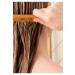 Pantene Coconut Oil 100 Ml X2 - Buy Online on GoSupps.com