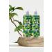 Nova Expert Anti-Dore Silver Anti-Orange Shampoo 1000 Ml PLMY