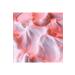 OLEHENRIKSEN BEAMCREAM SMOOTHING BODY MOISTURIZER 190ML - Buy Online on GoSupps.com