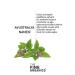 THE FINE ORGANICS Mint & Activated Carbon Teeth Whitening Powder 50g - Buy Online on GoSupps.com