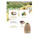 OGX CORRECTING EFFECT-BRAZIL KERATIN THERAPY ILLUMINATING-SHINING SHAMPOO 385 ML DKHAIR694 - Buy Online on GoSupps.com