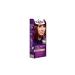 Eye-Catching Colors in Palette Hair Dye 6-88 Intense Red