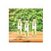 Narcissa 2 Pieces - Mixed Herbal Powder Containing Acerola Extract