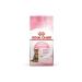 TEAMOOD Onka Farma Rooibos Herbal Tea - Rooibos Black Elderberry Herbal Tea - 50 gr - Buy Online on GoSupps.com