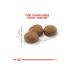 Royal Canin Sterilized Neutered Cat Food 400 gr - Buy Online on GoSupps.com