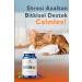 Coffee World Capsule Coffee Mixed Pack 30 Capsules - Buy Online on GoSupps.com