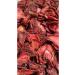HurmaLab BARLAB Peanut Filled Cocoa Chia Bar 36gr x 12 pieces - Buy Online on GoSupps.com