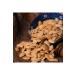 Chickpea Bazaar Double Roasted Salted Pumpkin Seeds - 500 Gr - Buy Online on GoSupps.com