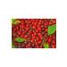 Hanzade Herbal Tilya Cure Form Tea Rosehip Golden Herb Linden Mixed Herbal Tea 20 Filtering Bags X 2 Pieces - Buy Online on GoSupps.com