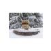 KA KARDAN Honey Pollen Propolis Royal Jelly Mix 250 G - Buy Online on GoSupps.com