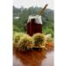 NATURAL FOOD Chestnut Honey Artvin 500 gr