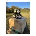 artvin beekeeping Artvin Honey - Battal - Chestnut Honey 4750 gr - Buy Online on GoSupps.com