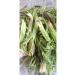 Erzurum Ipek Gurme Wide-Trigger-ca Brine Ca r 5kg Ipkg 4669 - Buy Online on GoSupps.com