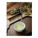Panda Company White Chinese Tea 100gr - Buy Online on GoSupps.com