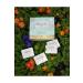 FROP E Almond&Cocoa Probiotic Bar 35 G X 10