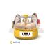 Mini Automatic Home Type Incubator: Electric Chicken And Bird Incubator 6 Eggs Mx-6