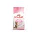 NS SHINE BEAUTY Herbal Mix Detox Slimming 1 Form Tea Set of 2 - Buy Online on GoSupps.com