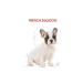 Royal Canin French Bulldog Junior Puppy Food 3kg - Buy Online on GoSupps.com