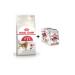ASBIEN Asbien Focus Natura Plus Citicoline Omega 3 Epa DHA- Fish Oil - Buy Online on GoSupps.com