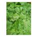 Artakua Spirulina Flake Food Guppy Food Cichlid Fish Food 100 grams