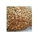 Reflex Chicken and Rice Kitten Food 10 KG BRSMAGAZA16 - Buy Online on GoSupps.com