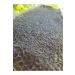 shahbal shahbal comb honey flower honey 850 gr