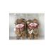 Hazelnut Garden Hazelnut Paste Tirebolu 320gram