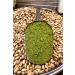 Bozk rl avu o lu White Tahini Bozk r Tahini 1830g - Buy Online on GoSupps.com