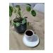 EK N NUTS AND COFFEE Ekin Antakya 2 Kg Dark Turkish Coffee (Double Roasted Coffee) #hatay #turkishcoffee #doubleroasted - Buy Online on GoSupps.com