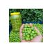 Fatih Natural Market Hatay Halhali Green Olive 5 Kg. Pet Bottle