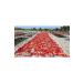 L VAL FARM Lival Hatay Handmade Pepper Paste (HOT) 780 gr Glass - Buy Online on GoSupps.com