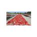 L VAL FARM Lival Hatay Handmade Pepper Paste (SWEET) 780 gr Glass - Buy Online on GoSupps.com