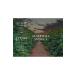 Rioba Espresso Filter Coffee Italiano Roasted 100% Arabica In Grani Espresso Filter Coffee - Buy Online on GoSupps.com